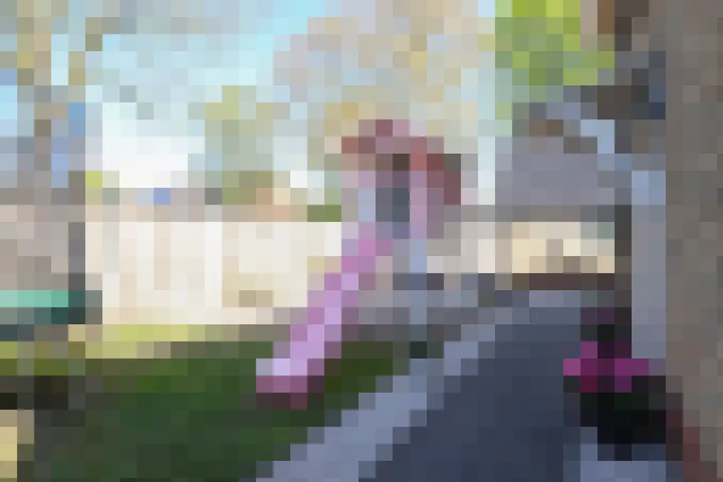 Kobbeflecht 38 Hurdegaryp thumbnail 55