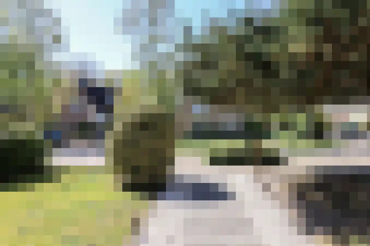 Kobbeflecht 38 Hurdegaryp thumbnail 56