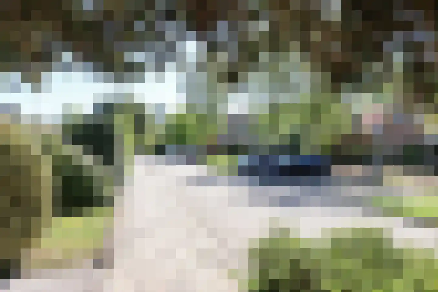 Kobbeflecht 38 Hurdegaryp thumbnail 57