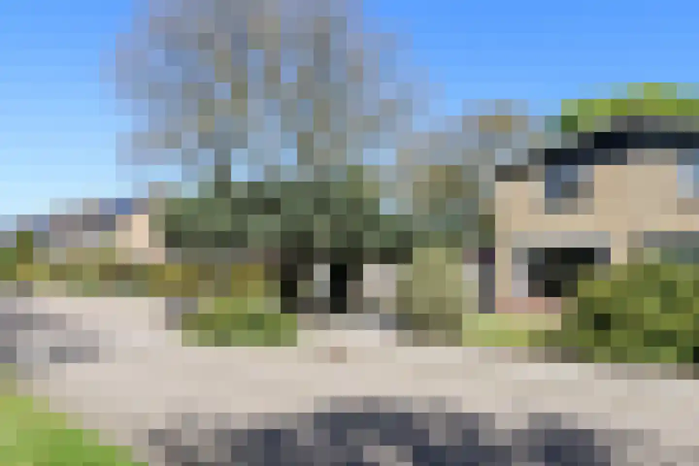 Kobbeflecht 38 Hurdegaryp thumbnail 58