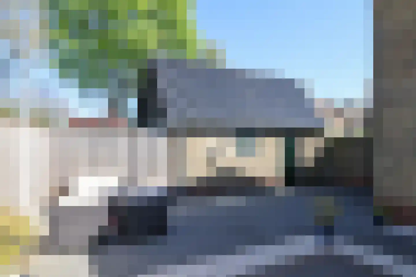 Kobbeflecht 38 Hurdegaryp thumbnail 6