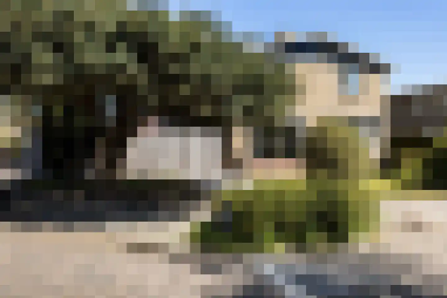Kobbeflecht 38 Hurdegaryp thumbnail 60