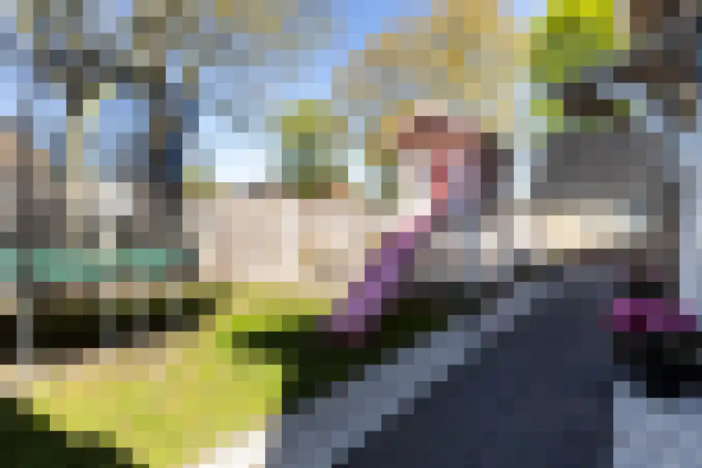 Kobbeflecht 38 Hurdegaryp thumbnail 61