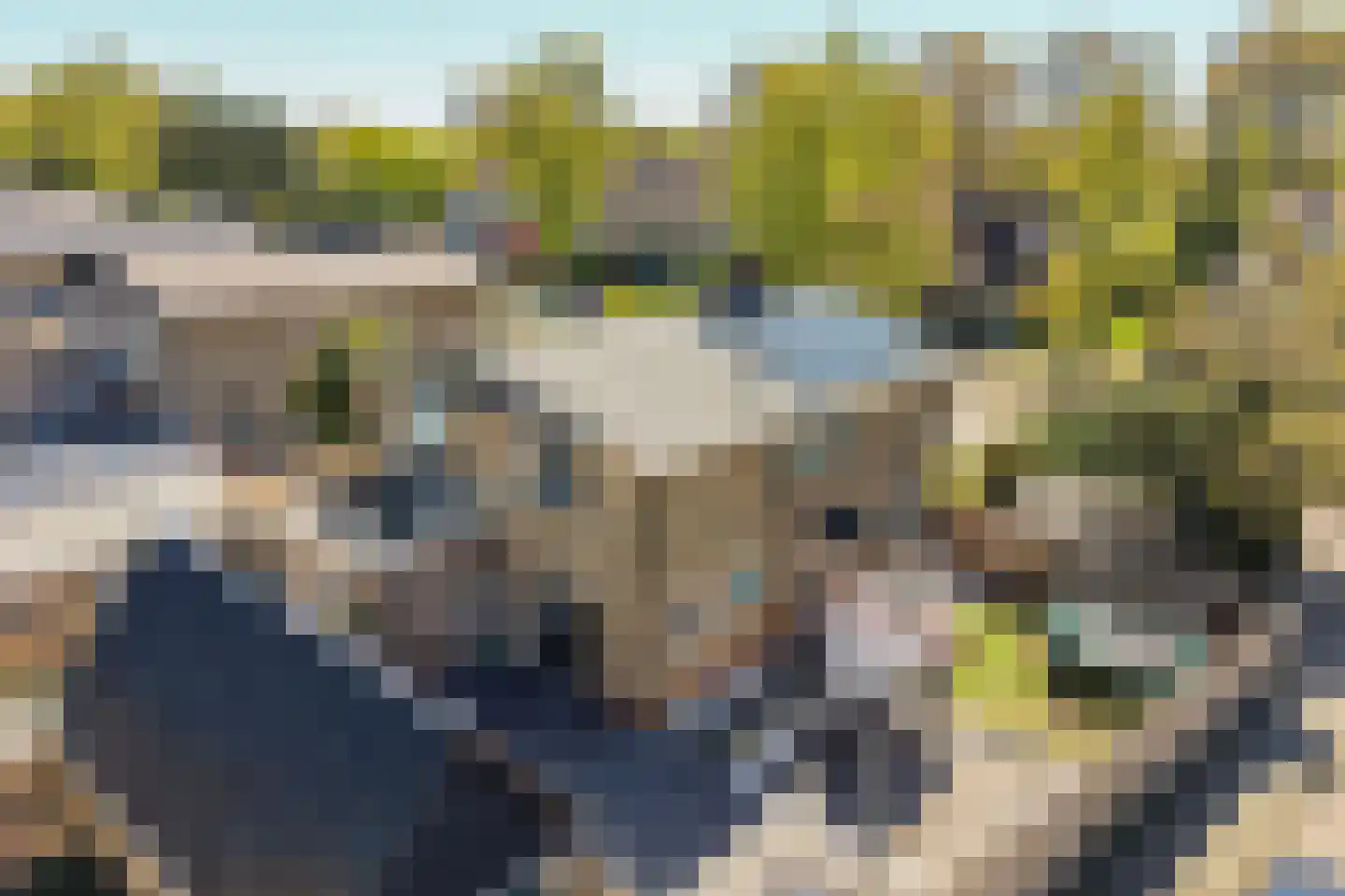 Kobbeflecht 38 Hurdegaryp thumbnail 62