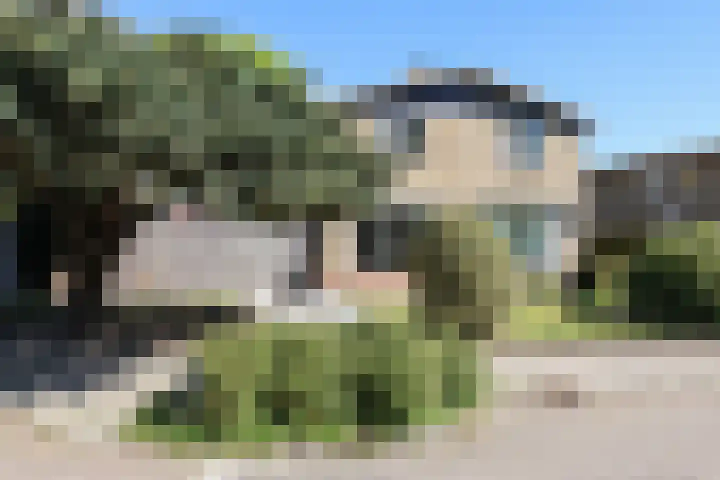 Kobbeflecht 38 Hurdegaryp thumbnail 7