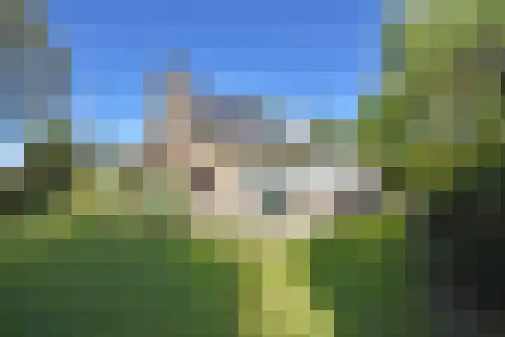 Kobbeflecht 45 Hurdegaryp thumbnail 10
