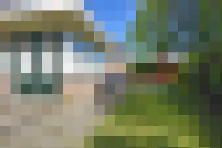 Kobbeflecht 45 Hurdegaryp thumbnail 11