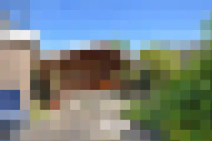 Kobbeflecht 45 Hurdegaryp thumbnail 12