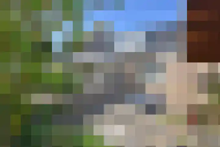 Kobbeflecht 45 Hurdegaryp thumbnail 13