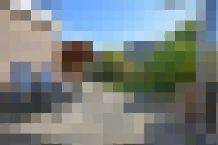 Kobbeflecht 45 Hurdegaryp thumbnail 14