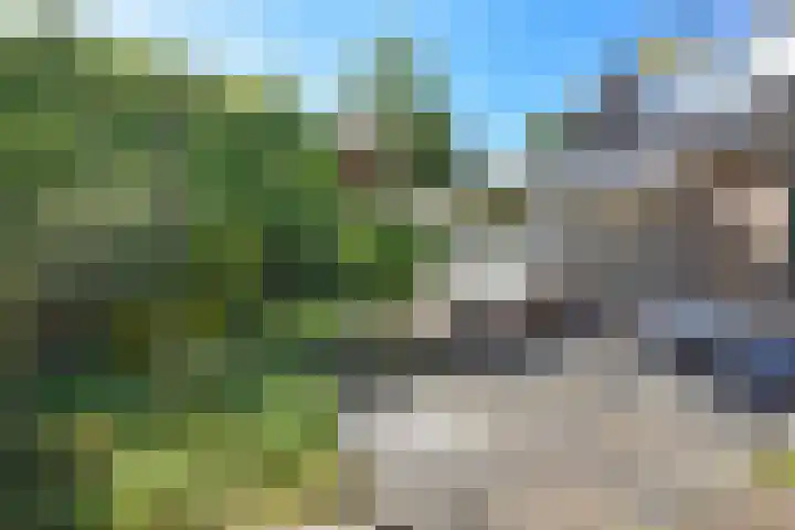 Kobbeflecht 45 Hurdegaryp thumbnail 15