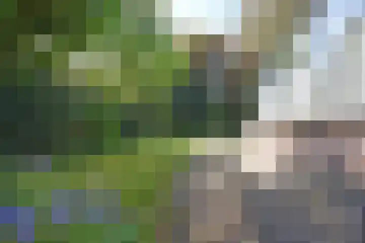 Kobbeflecht 45 Hurdegaryp thumbnail 16