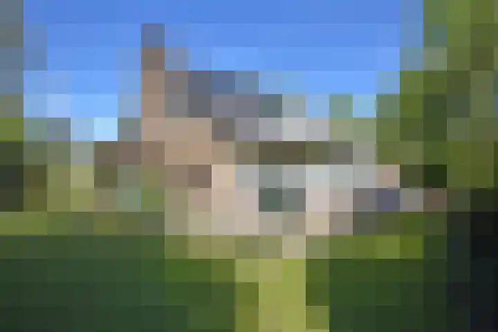 Kobbeflecht 45 Hurdegaryp thumbnail 17
