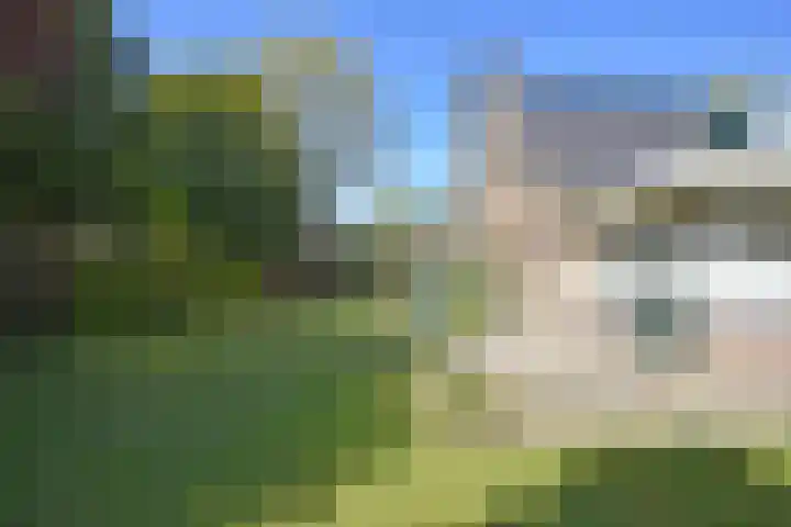 Kobbeflecht 45 Hurdegaryp thumbnail 18