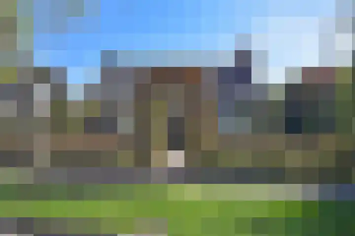 Kobbeflecht 45 Hurdegaryp thumbnail 4