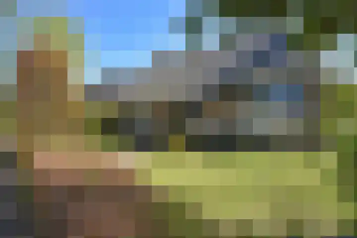 Kobbeflecht 45 Hurdegaryp thumbnail 5