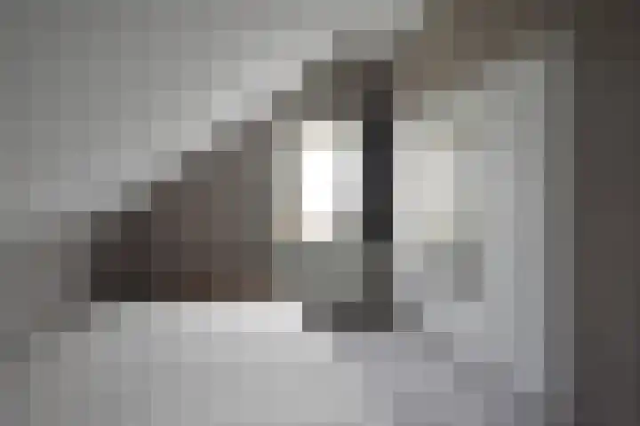 Kobbeflecht 45 Hurdegaryp thumbnail 50