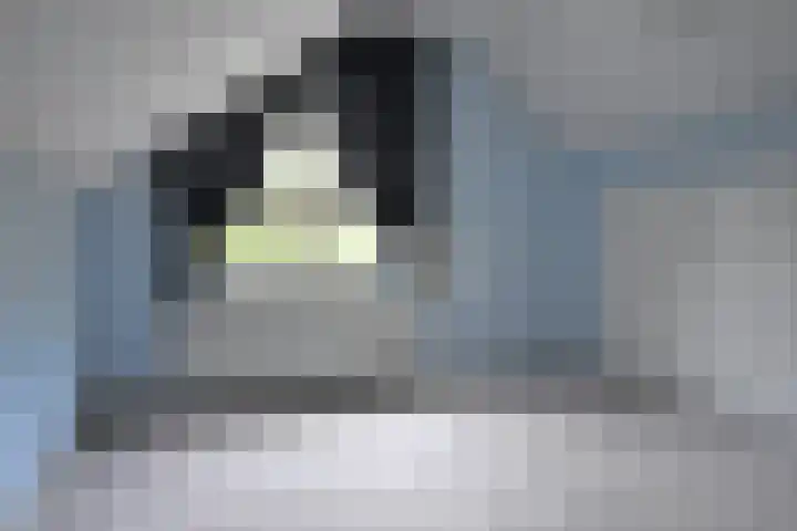 Kobbeflecht 45 Hurdegaryp thumbnail 52