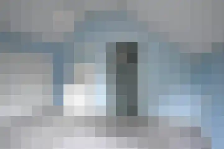 Kobbeflecht 45 Hurdegaryp thumbnail 53