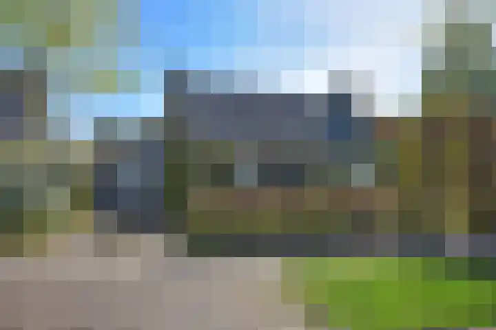 Kobbeflecht 45 Hurdegaryp thumbnail 6