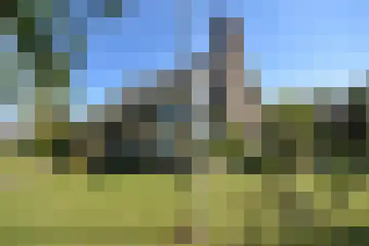 Kobbeflecht 45 Hurdegaryp thumbnail 7