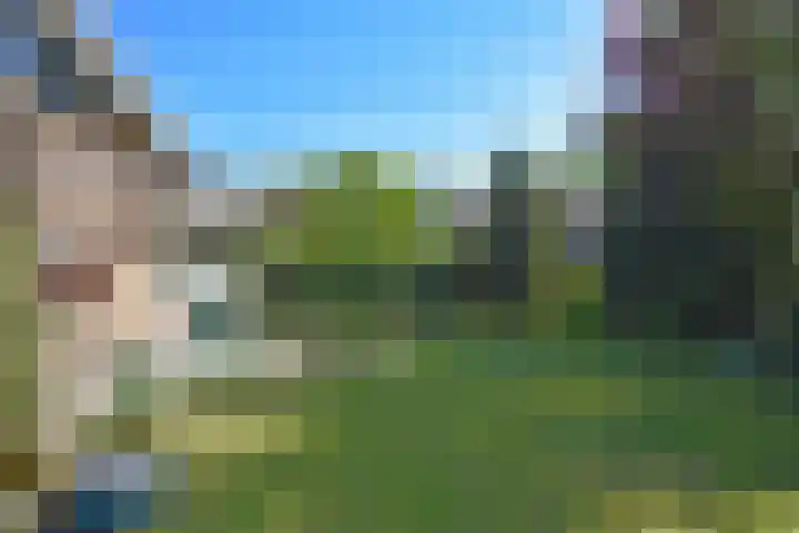 Kobbeflecht 45 Hurdegaryp thumbnail 8