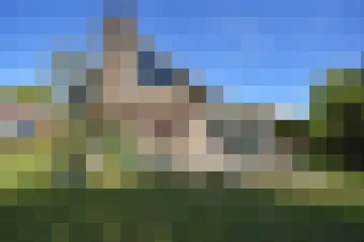 Kobbeflecht 45 Hurdegaryp thumbnail 9
