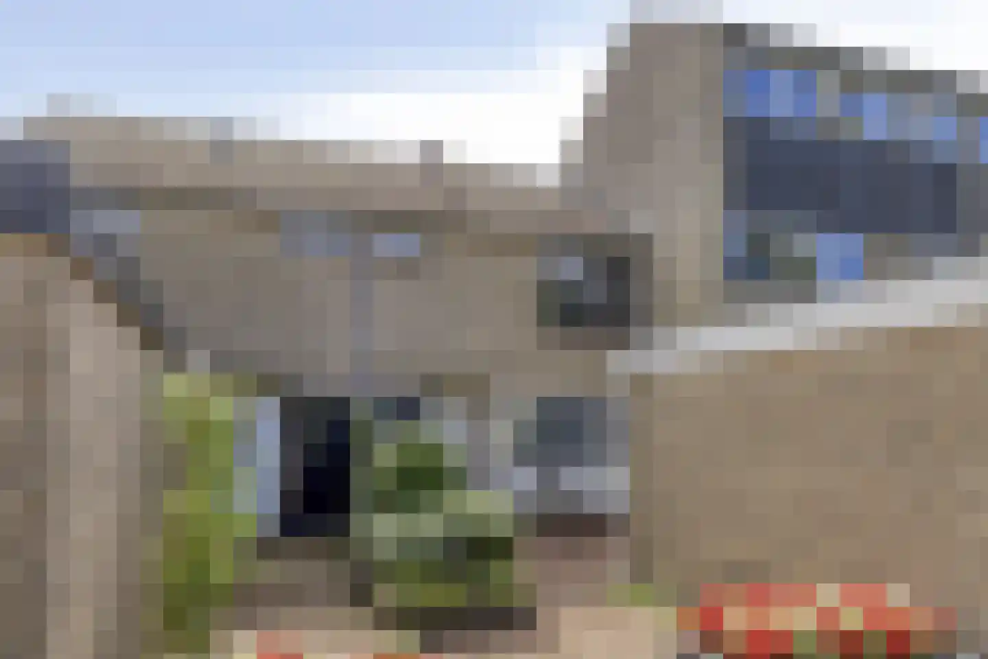 Kobbeflecht 51 Hurdegaryp thumbnail 28