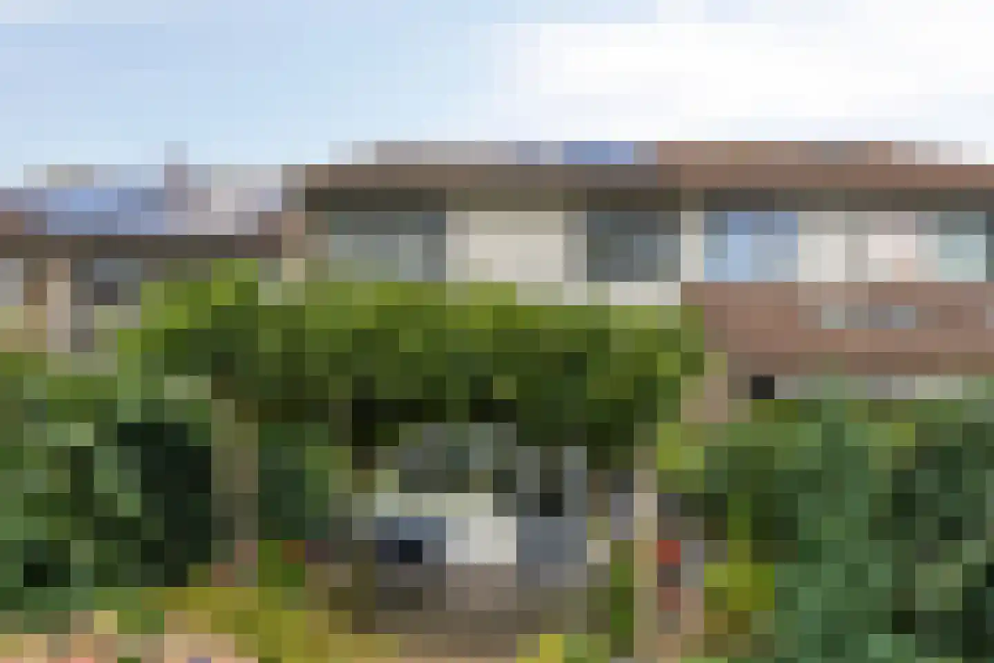 Kobbeflecht 51 Hurdegaryp thumbnail 30