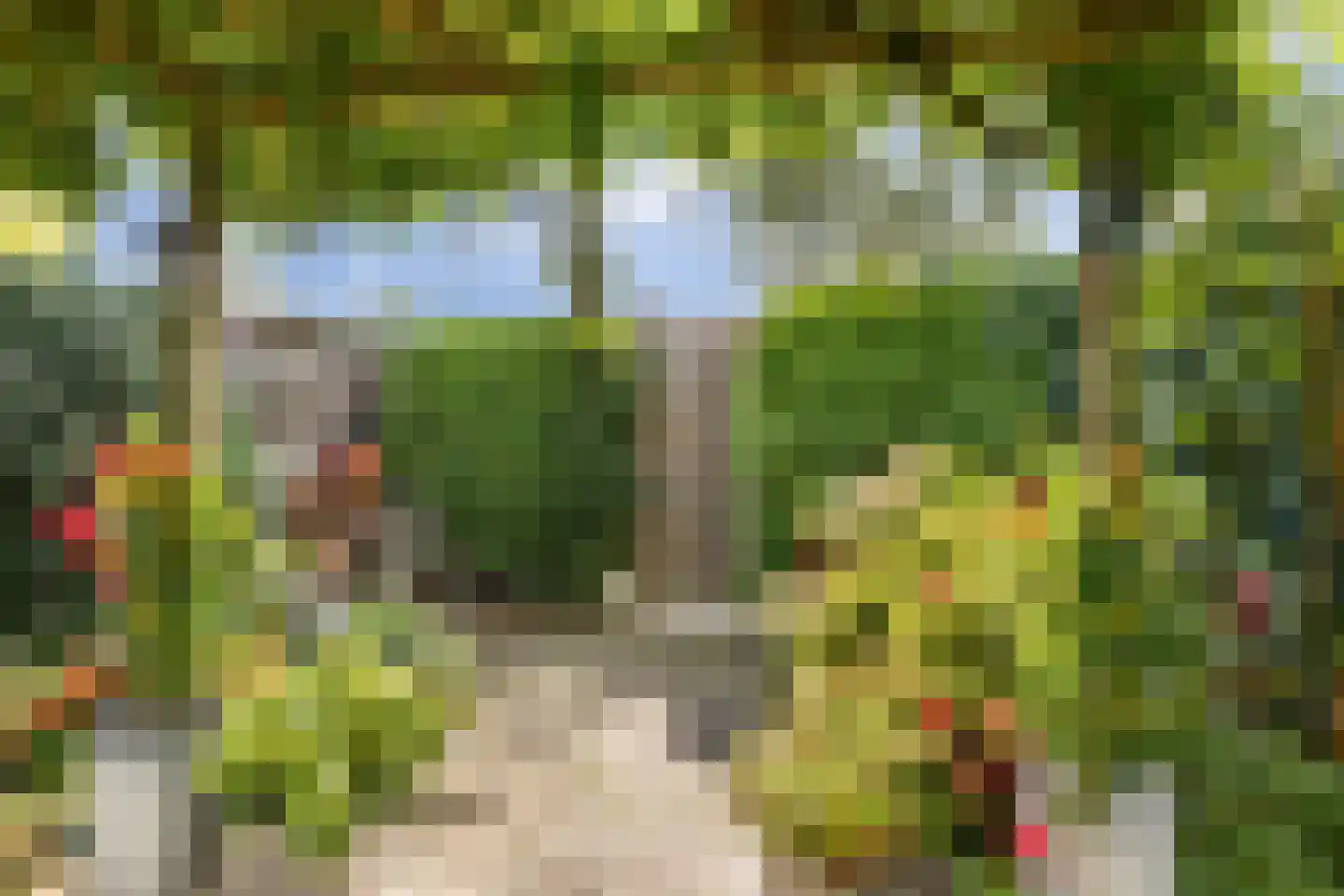 Kobbeflecht 51 Hurdegaryp thumbnail 31