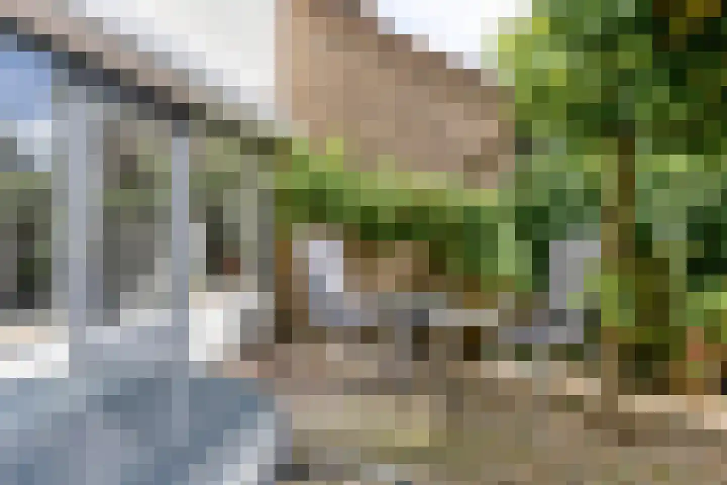 Kobbeflecht 51 Hurdegaryp thumbnail 32