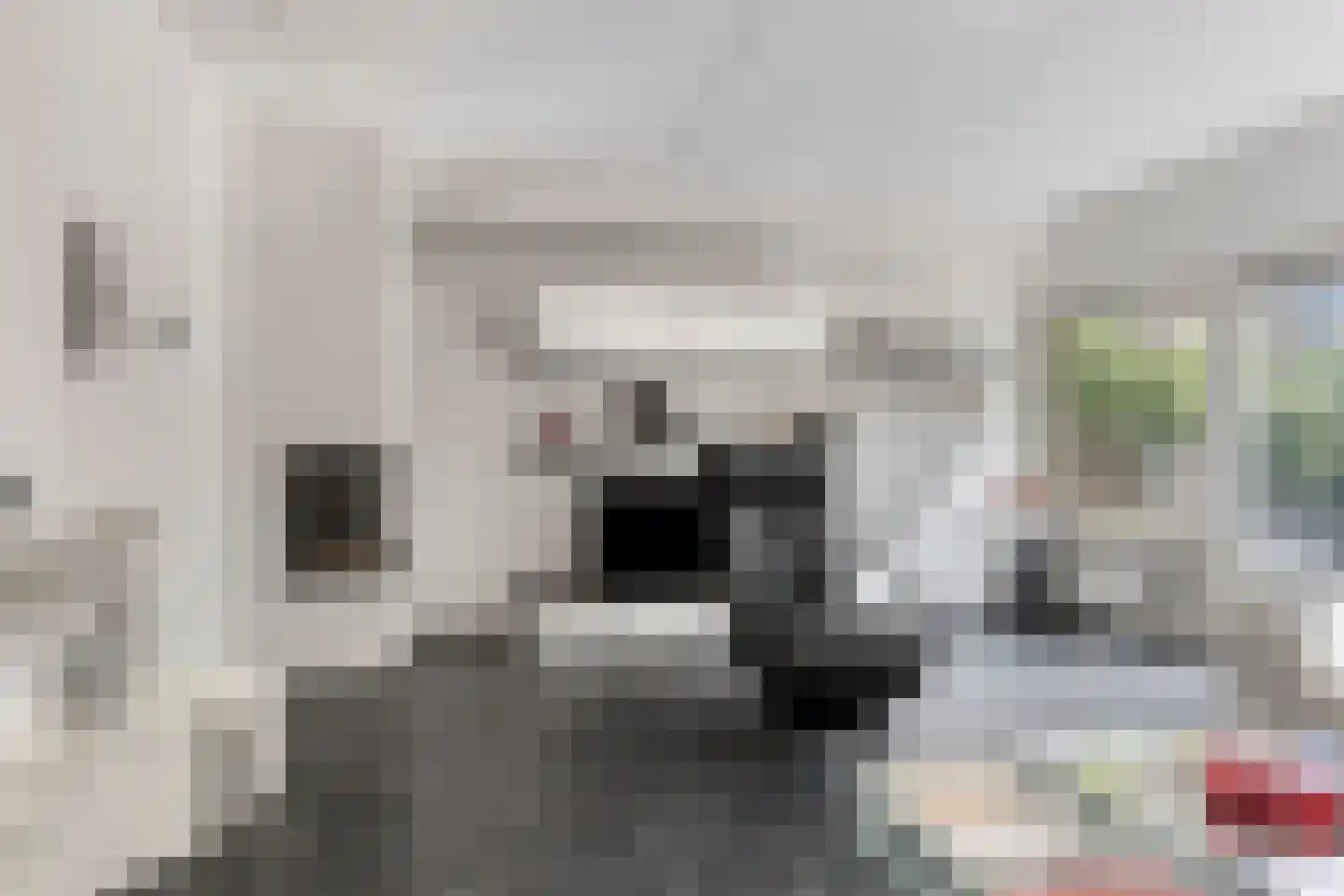 Kobbeflecht 51 Hurdegaryp thumbnail 7
