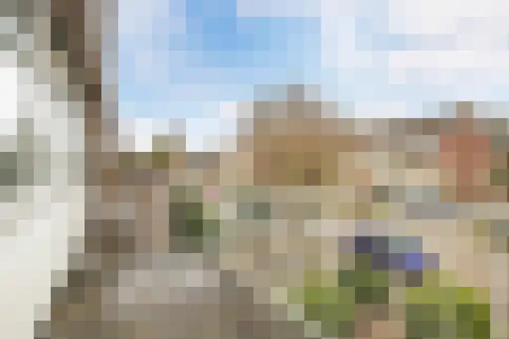 Kobbeflecht 56 Hurdegaryp thumbnail 29