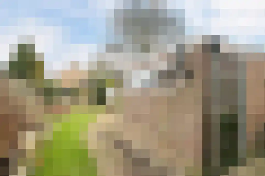 Kobbeflecht 56 Hurdegaryp thumbnail 32