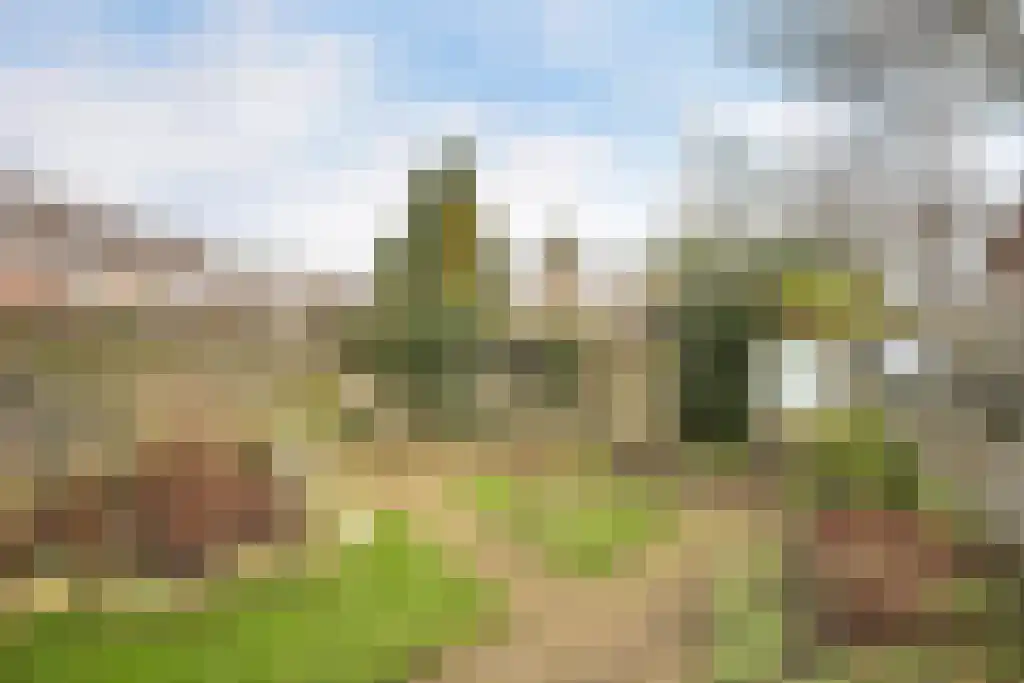 Kobbeflecht 56 Hurdegaryp thumbnail 33