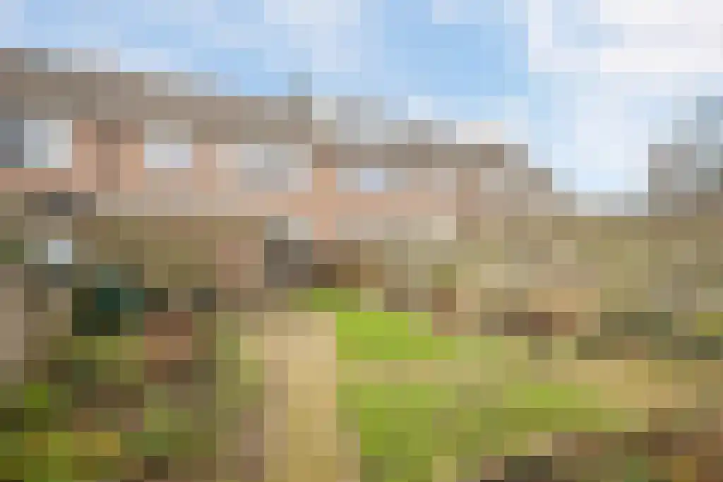 Kobbeflecht 56 Hurdegaryp thumbnail 34