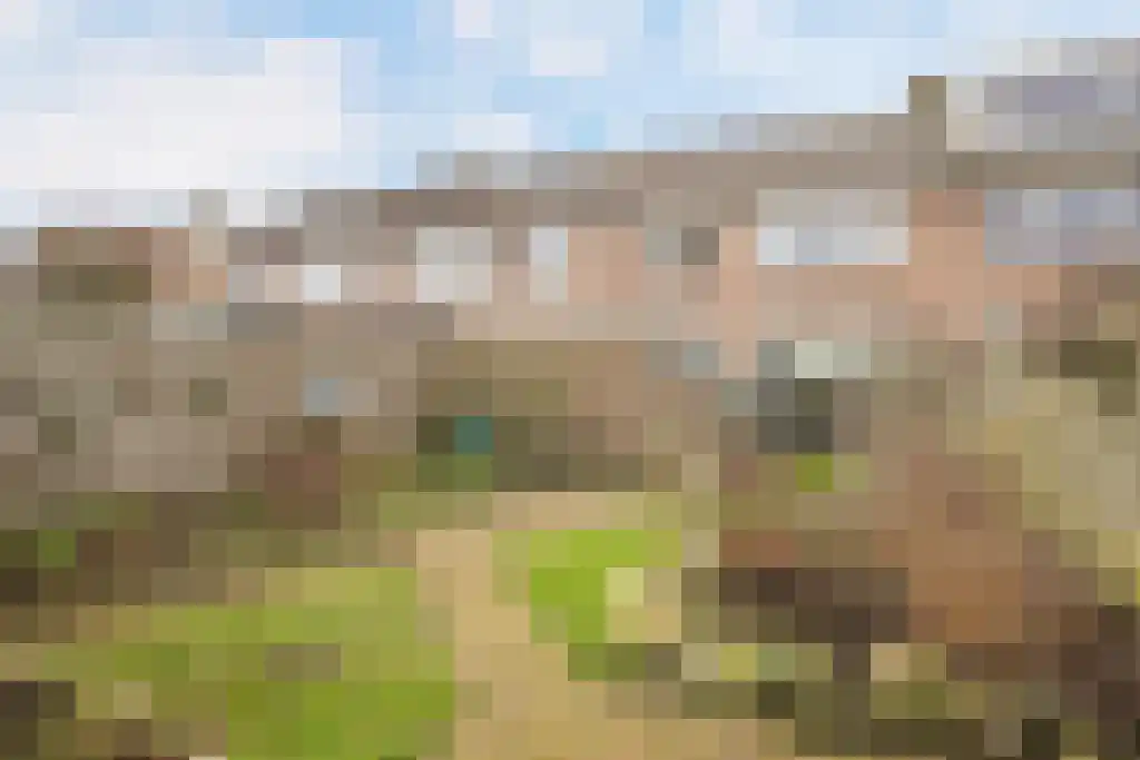 Kobbeflecht 56 Hurdegaryp thumbnail 35