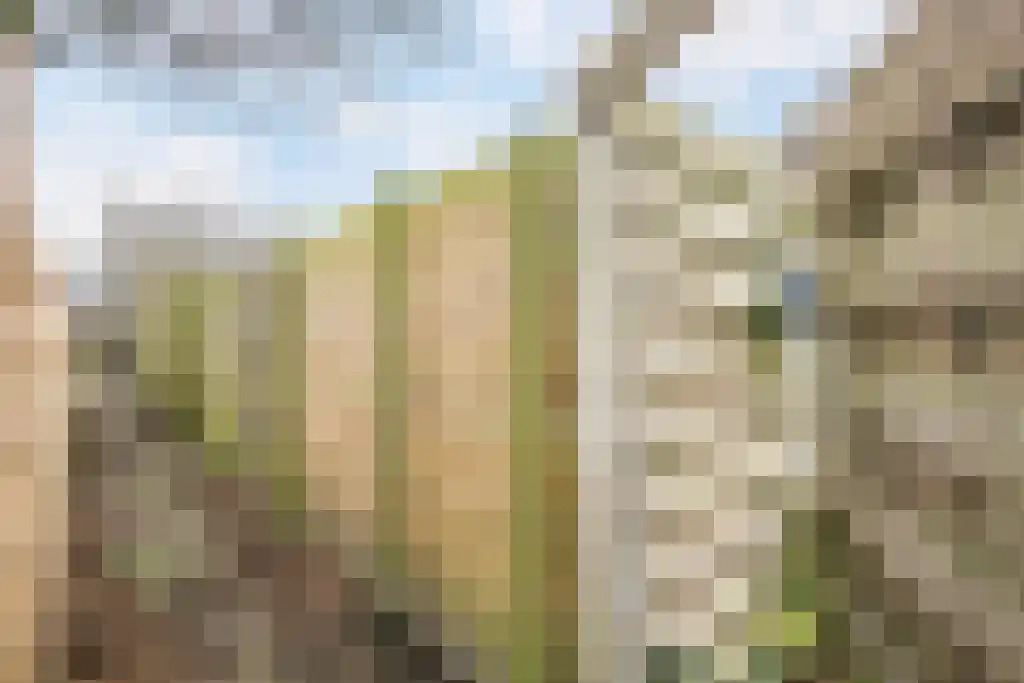 Kobbeflecht 56 Hurdegaryp thumbnail 36