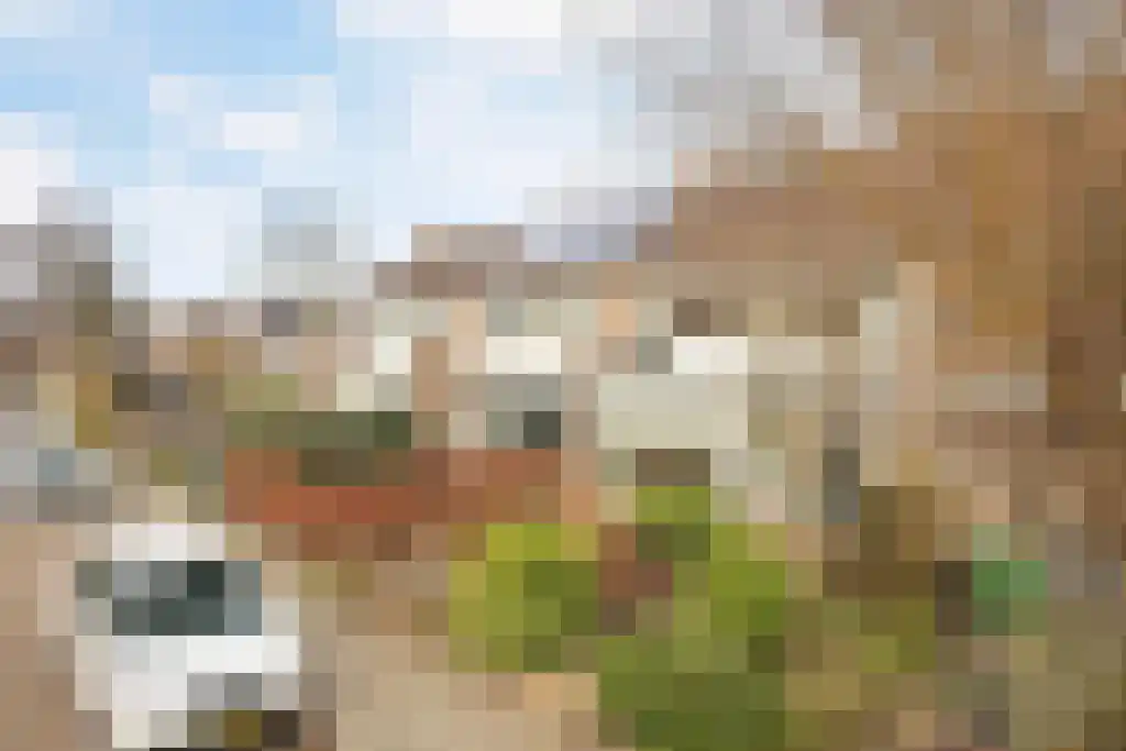 Kobbeflecht 56 Hurdegaryp thumbnail 38