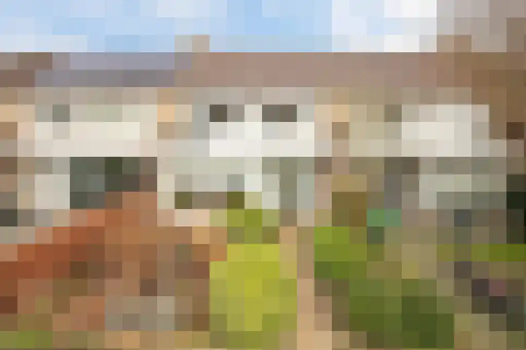 Kobbeflecht 56 Hurdegaryp thumbnail 39