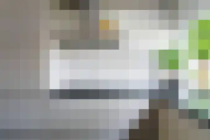 Kobbeflecht 74 Hurdegaryp thumbnail 11