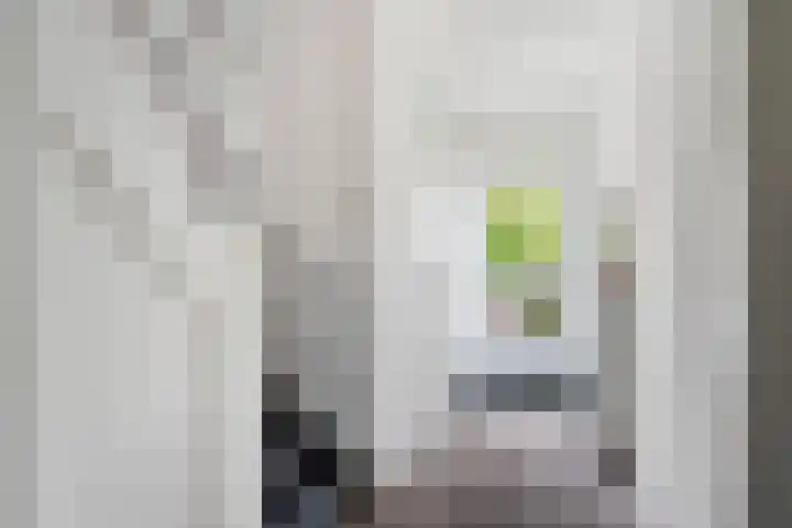 Kobbeflecht 74 Hurdegaryp thumbnail 12