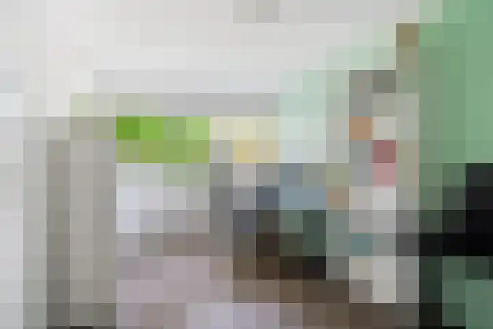 Kobbeflecht 74 Hurdegaryp thumbnail 20