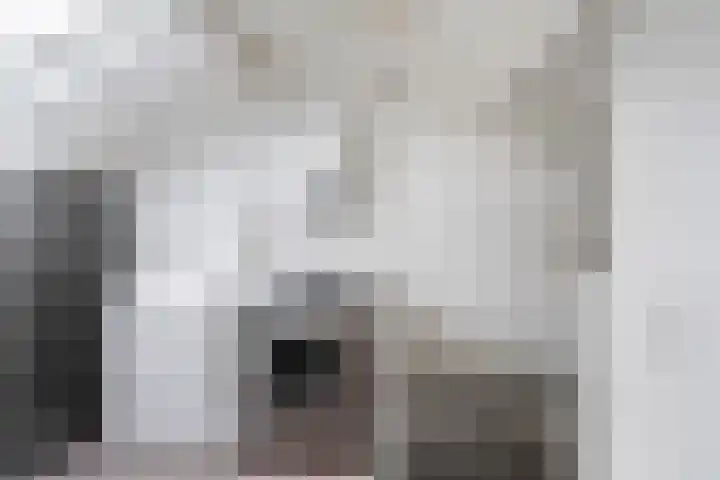 Kobbeflecht 74 Hurdegaryp thumbnail 30