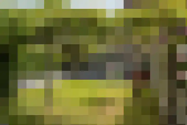Kobbeflecht 74 Hurdegaryp thumbnail 33