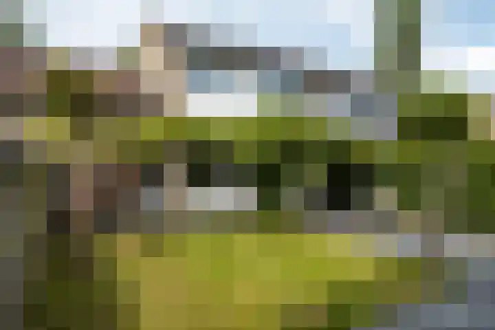 Kobbeflecht 74 Hurdegaryp thumbnail 34