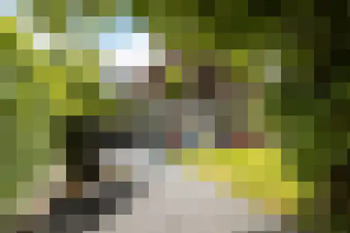Kobbeflecht 74 Hurdegaryp thumbnail 35
