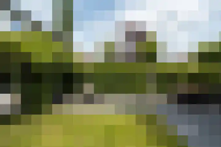Kobbeflecht 74 Hurdegaryp thumbnail 36
