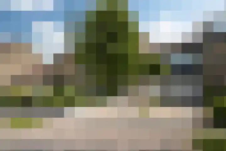 Kobbeflecht 74 Hurdegaryp thumbnail 37