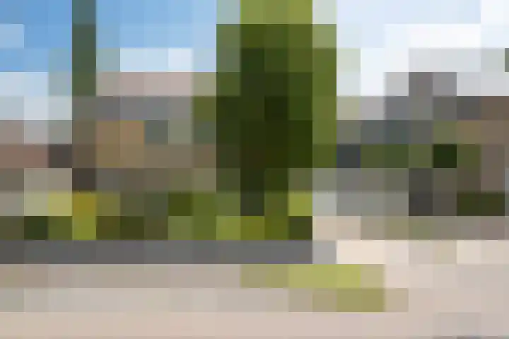 Kobbeflecht 74 Hurdegaryp thumbnail 38